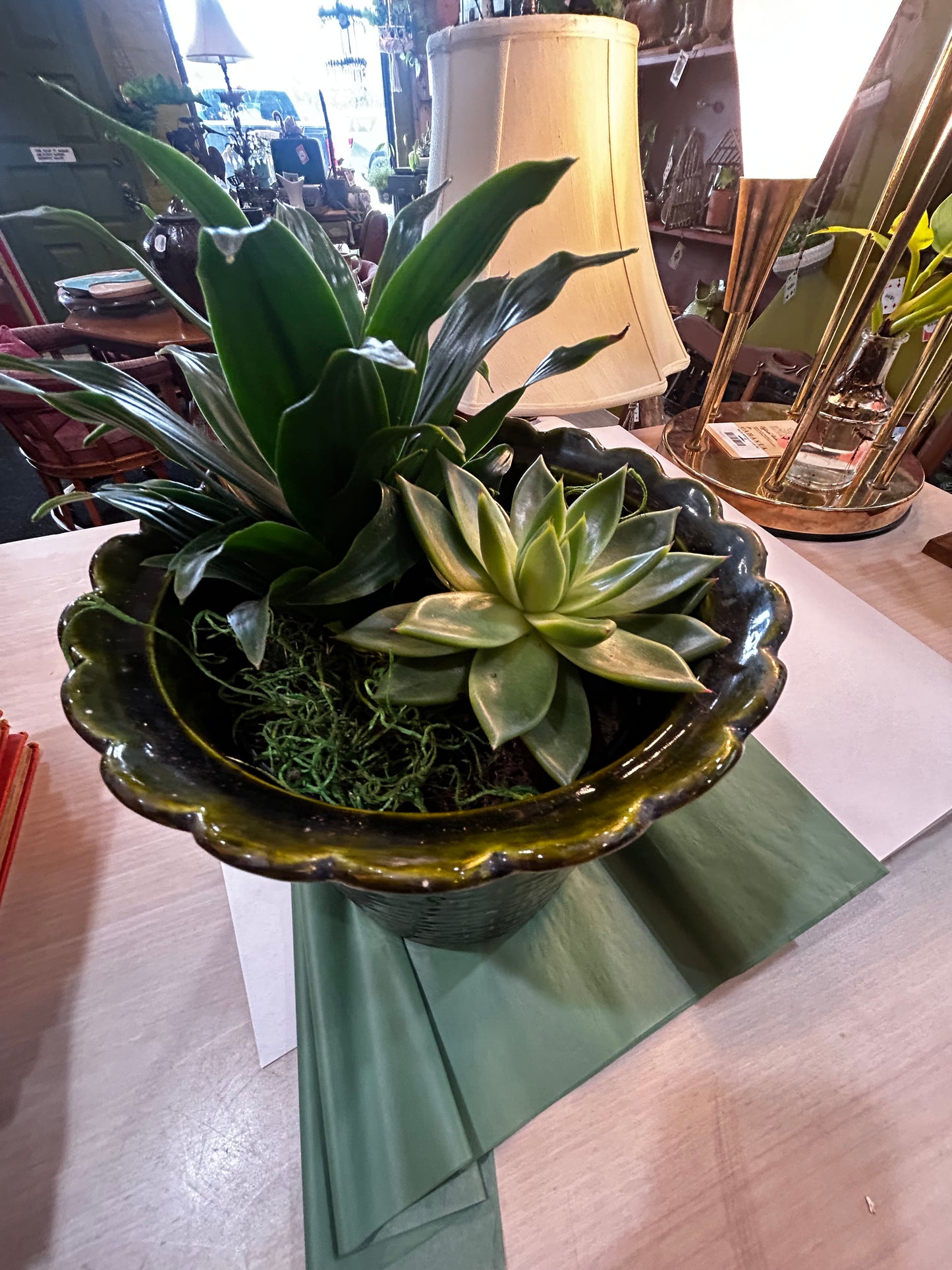Succulent and Sonora in Self Watering Rock-Lined Lane and Co. MCM Planter