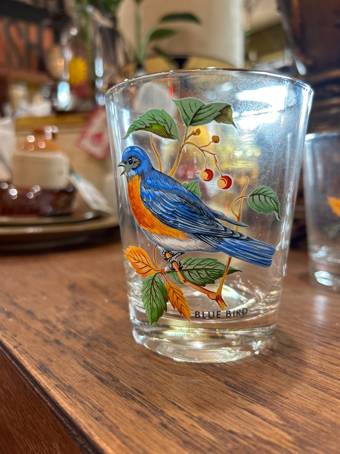 Set of 4 Lowball Glasses- Indiana Glass