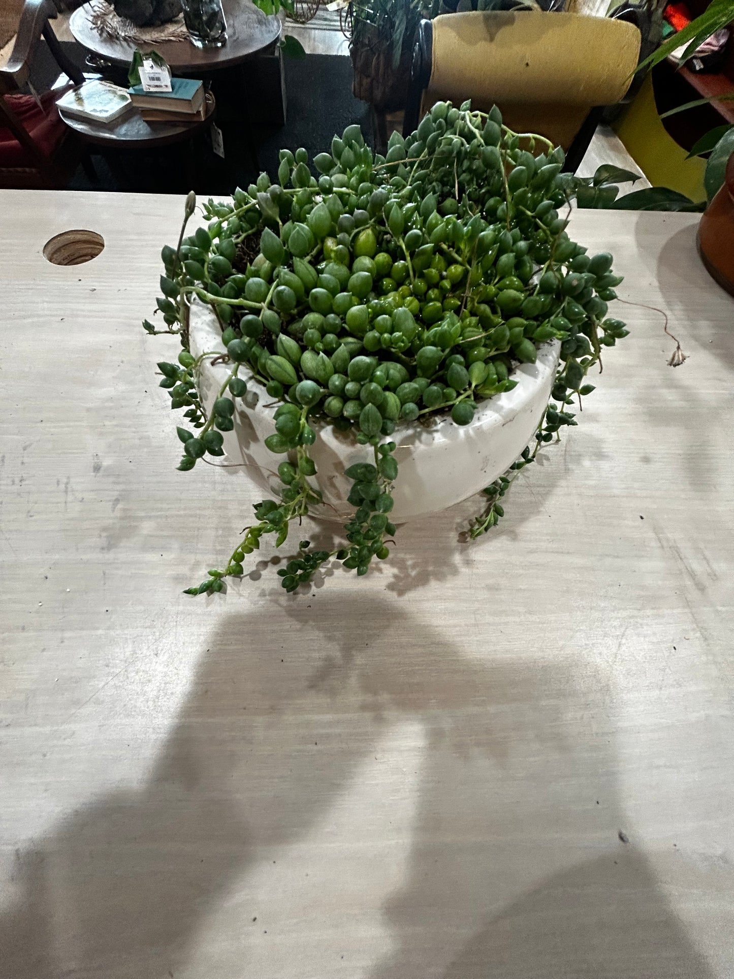 Strand of Pearls in White Ceramic