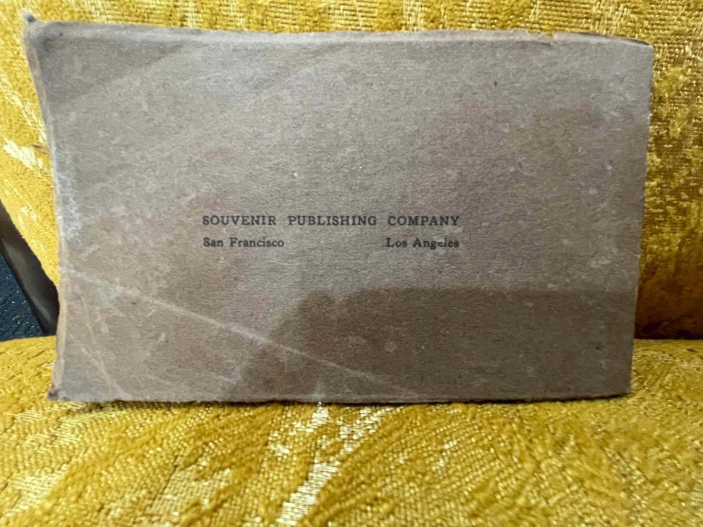 Album of Views of Las Angeles- Antique Postcard Book5