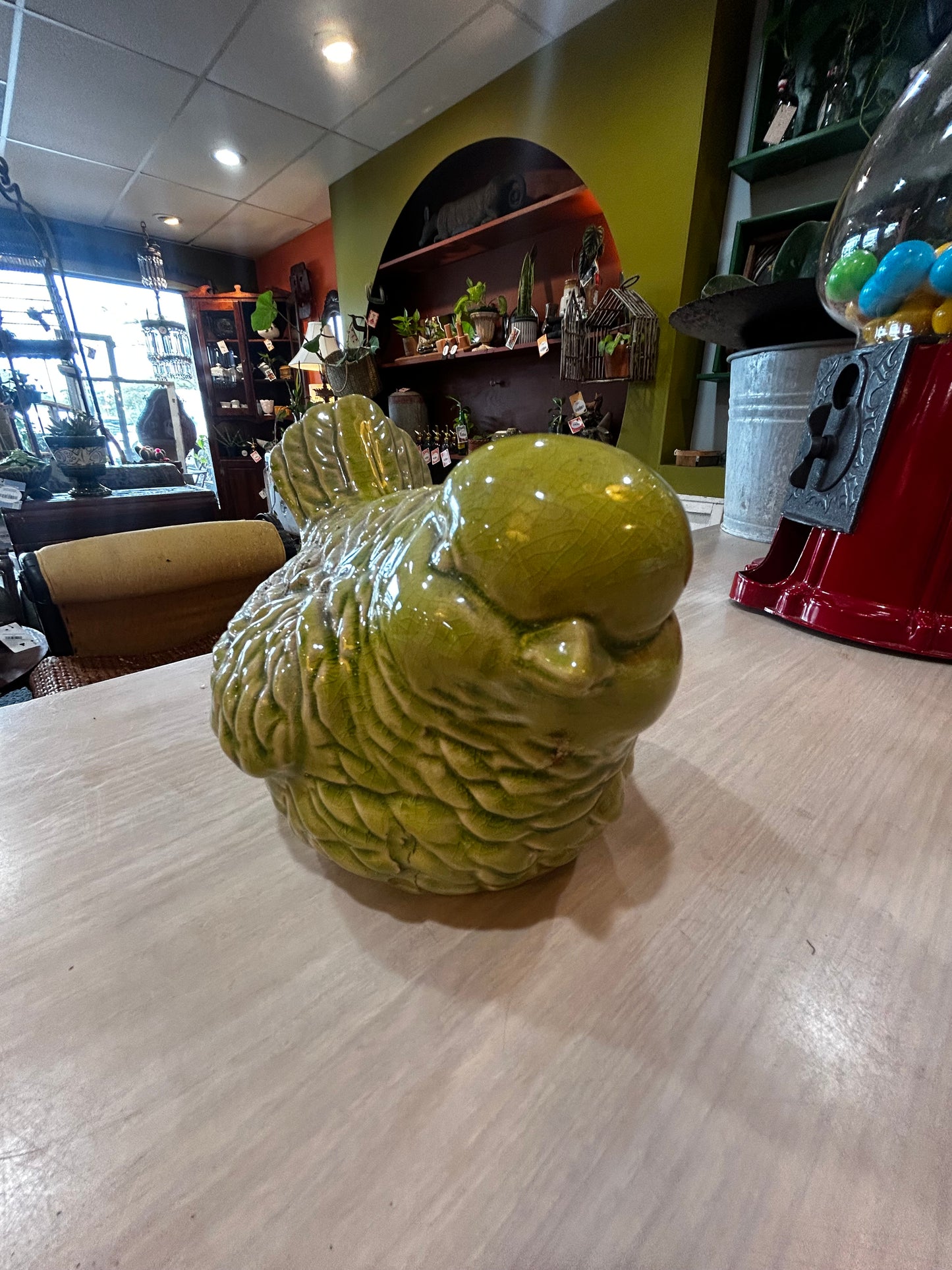 Olive Green Bird Friend