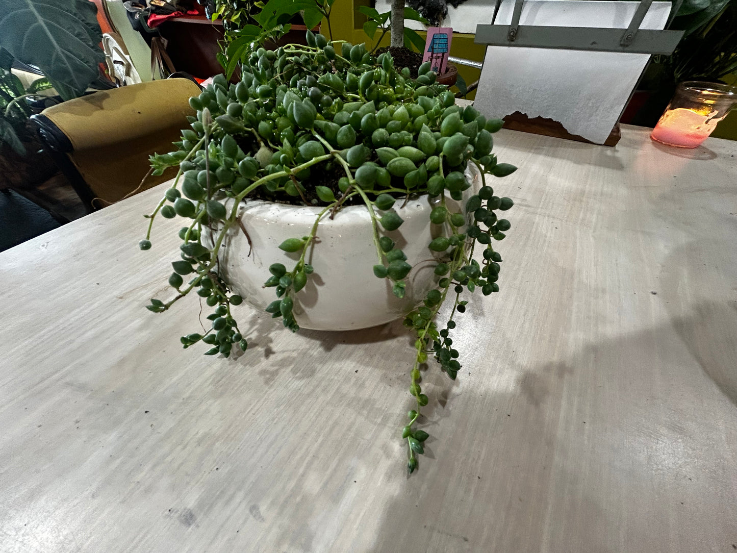 Strand of Pearls in White Ceramic