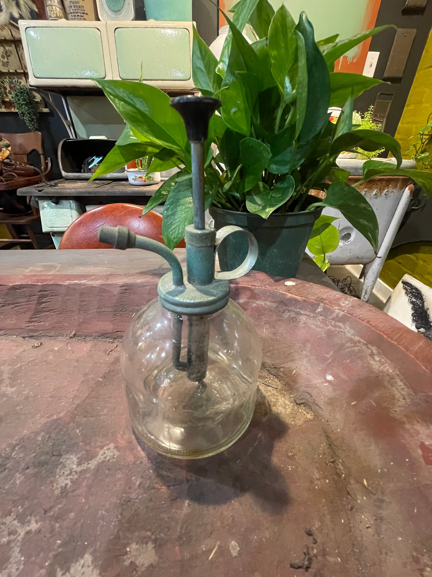 Antique Flower/Succulent/Cactus Spritzer