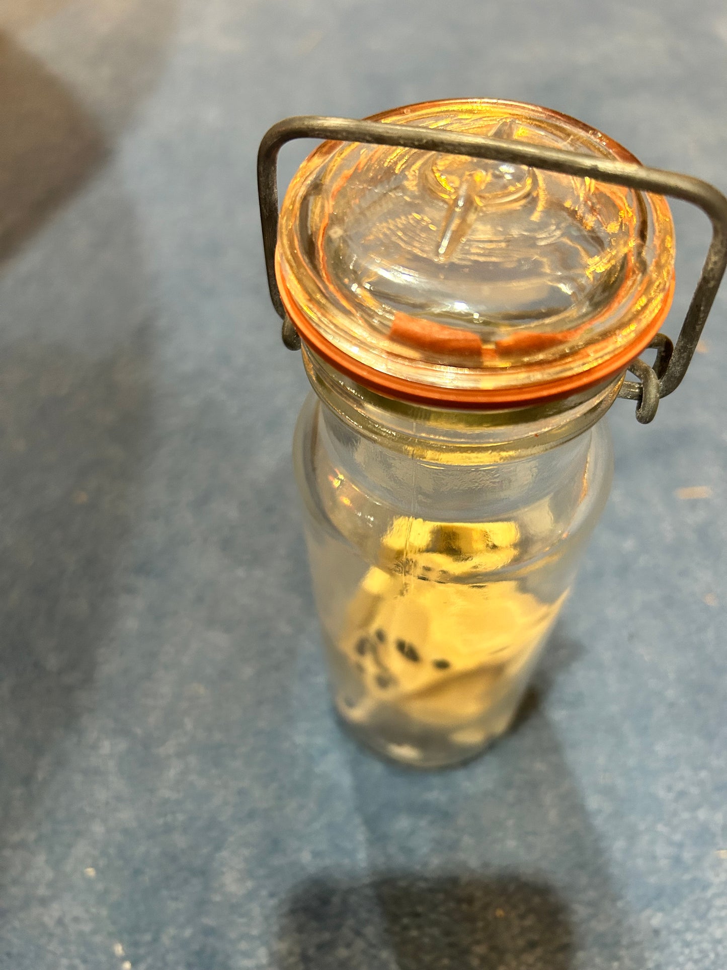 Antique Wheaton Jar- Original Lid- Decorative Dominos