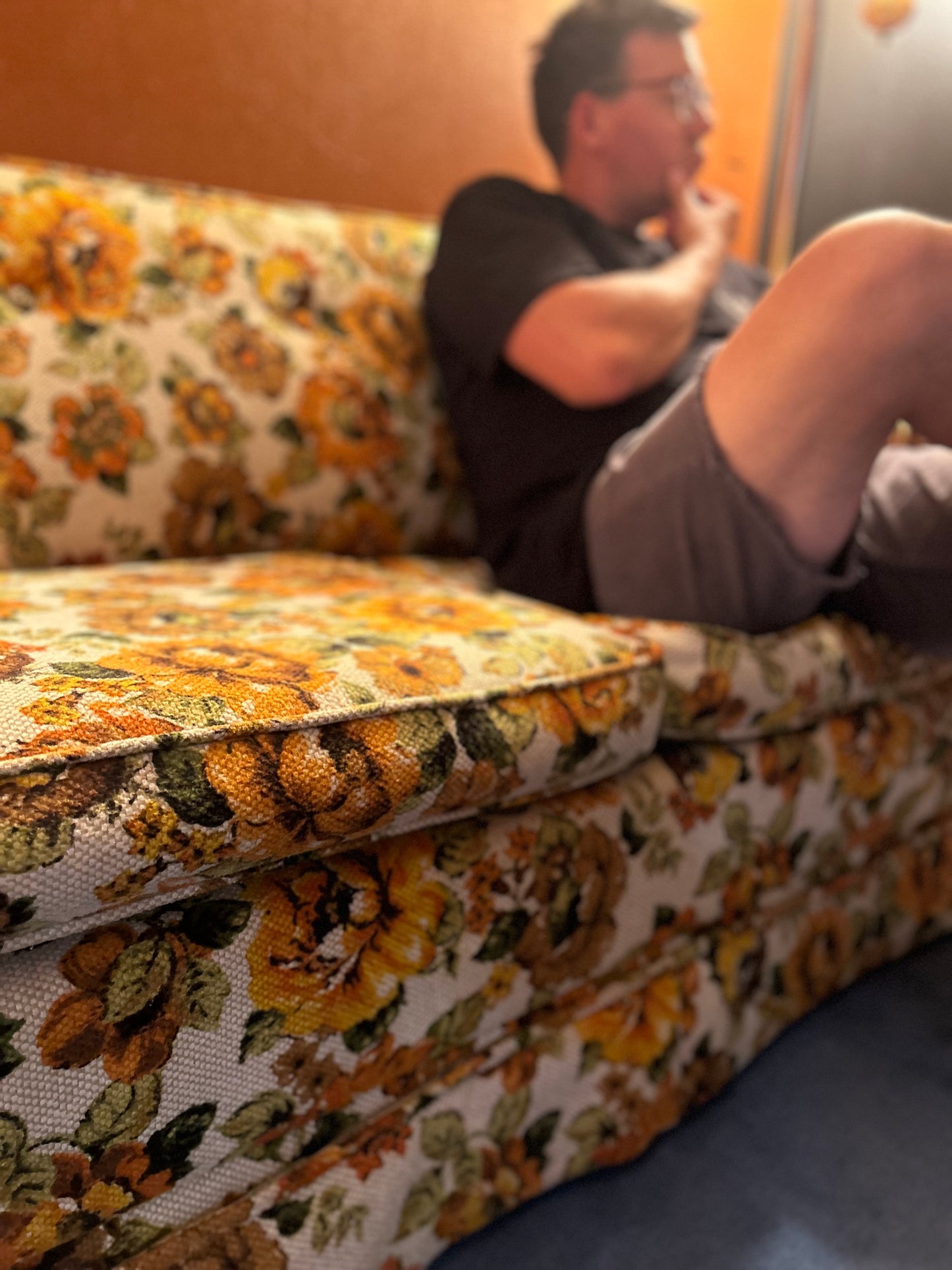 Vintage Floral Sleeper Sofa