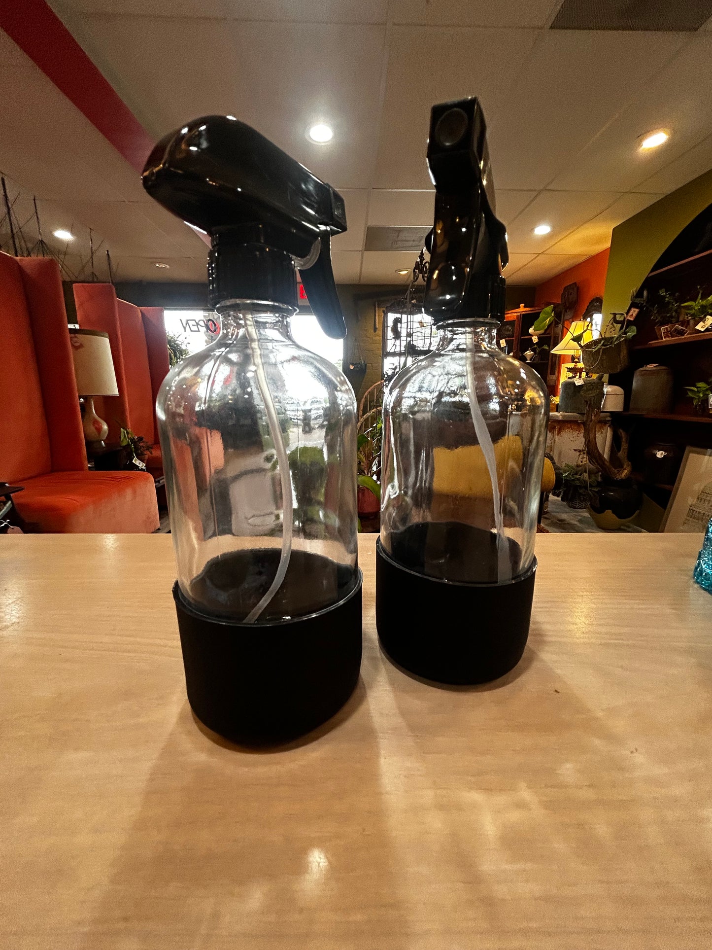 Glass Water Bottle for Plants