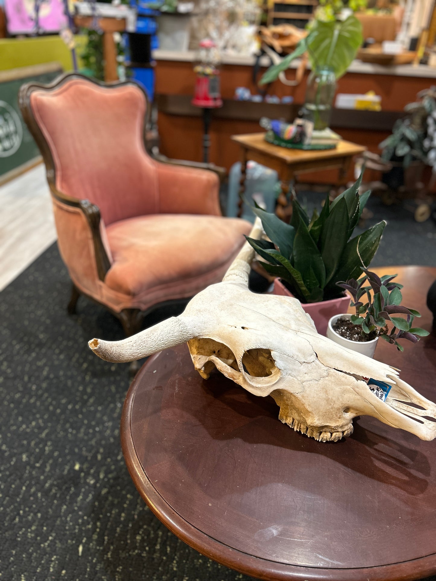 Vintage Winger Bergere Chair- Pink Velvet- (small piece broken)