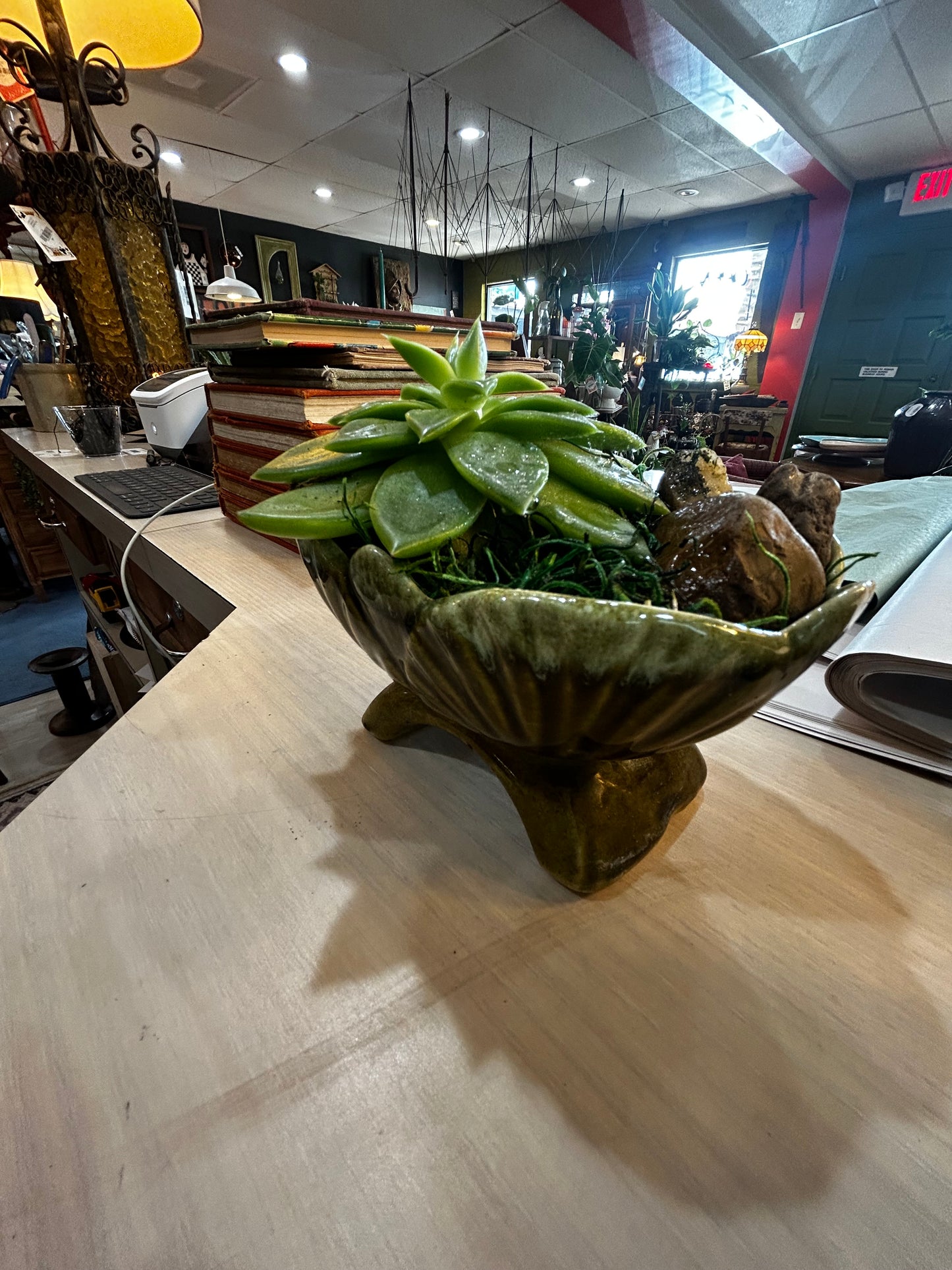 Succulent in MCM Bridged Planter- Rock-Lined-Ice Cube Watering Technique