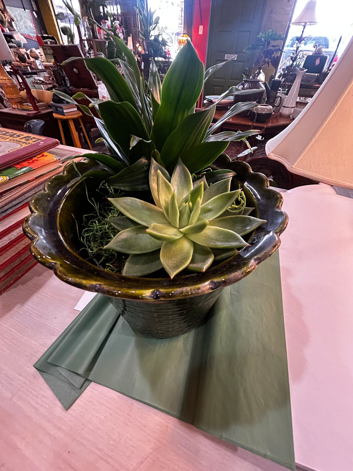 Succulent and Sonora in Self Watering Rock-Lined Lane and Co. MCM Planter