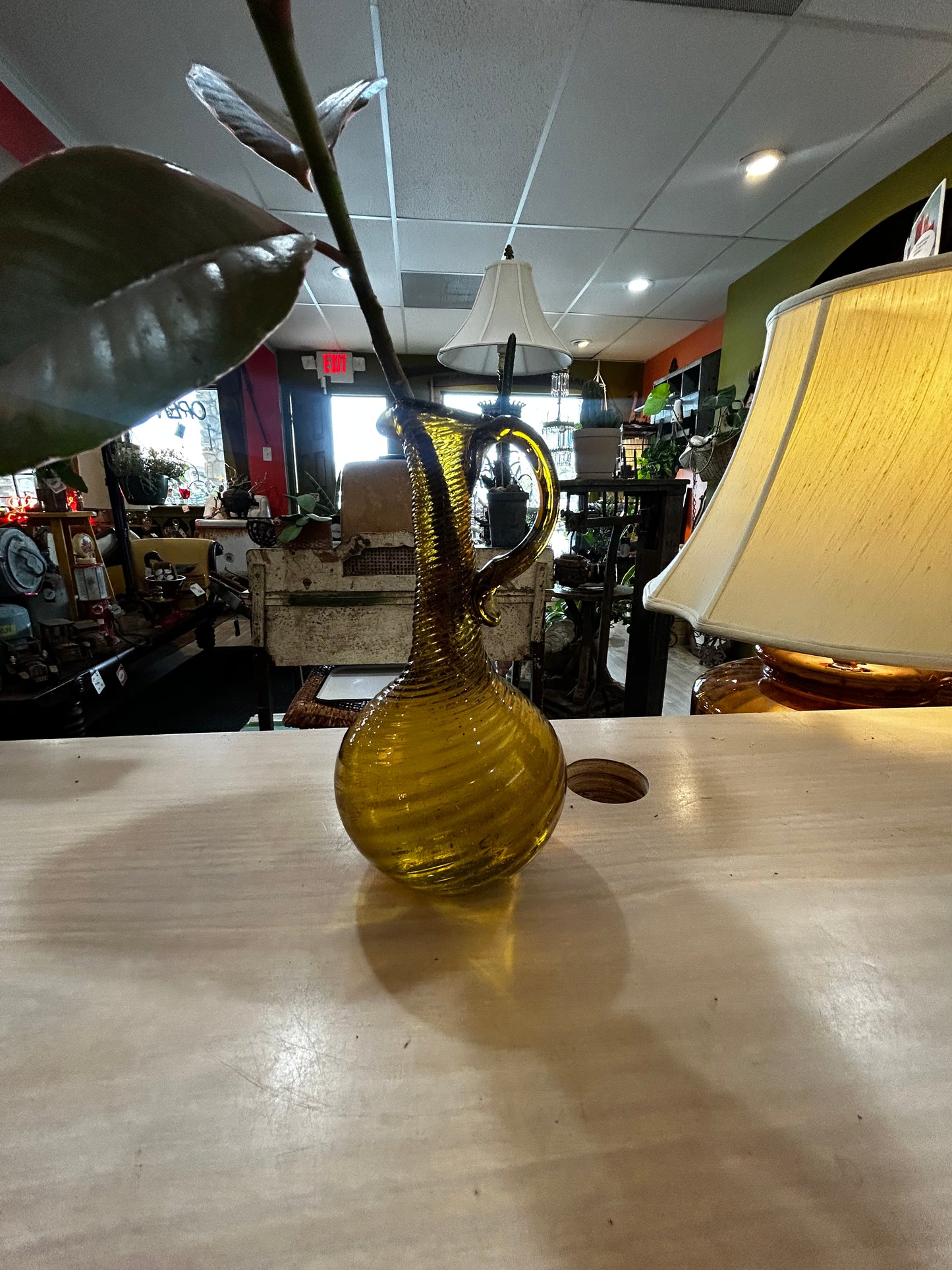 Rooted Rubber Fig in Vintage Amber Vase