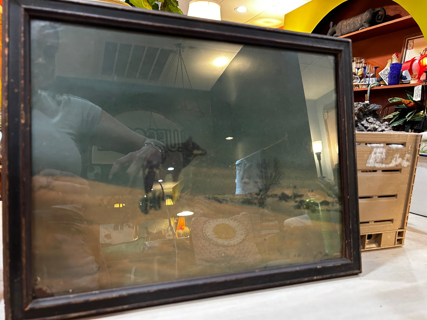 1920’s Lone Wolf in Snow Print- Framed