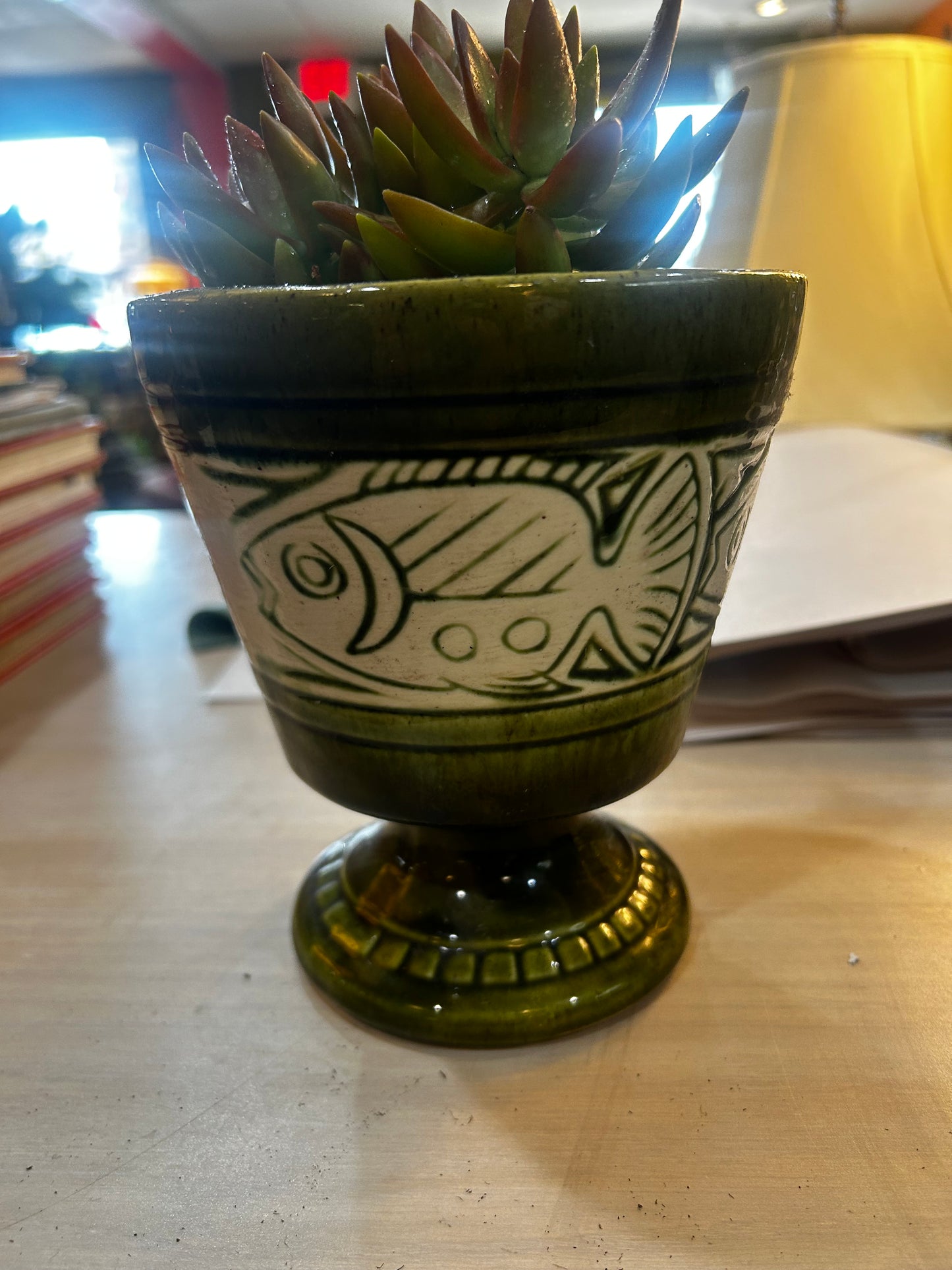 Succulent in MCM Fish Planter- Rock-Lined Base- Ice Cube Watering Technique