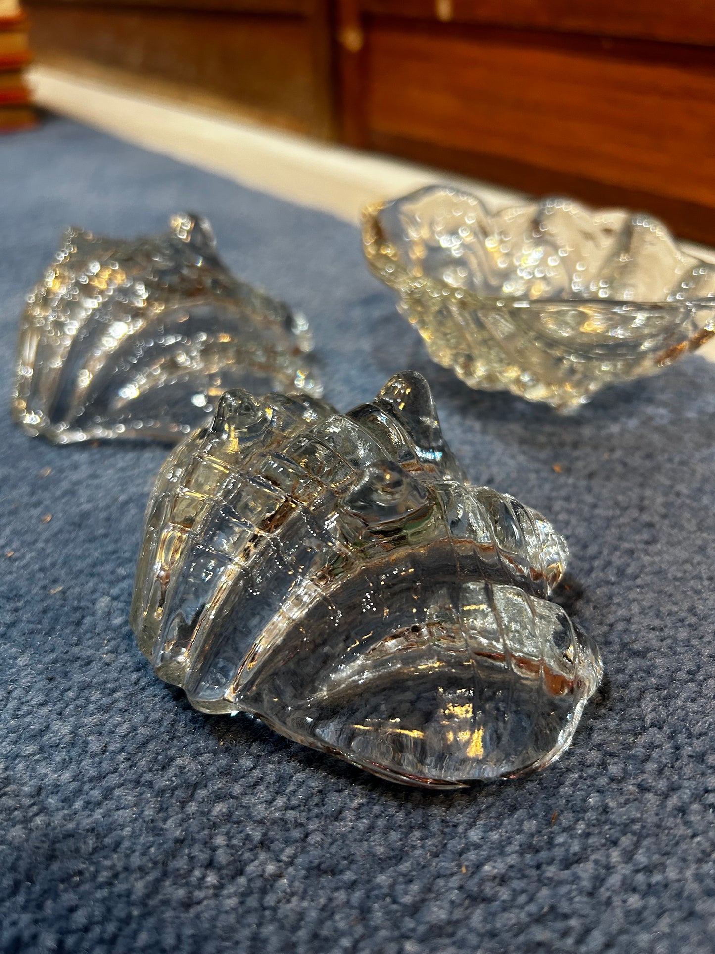 Set of 3 Glass Sea Shell Shaped Dishes- Footed