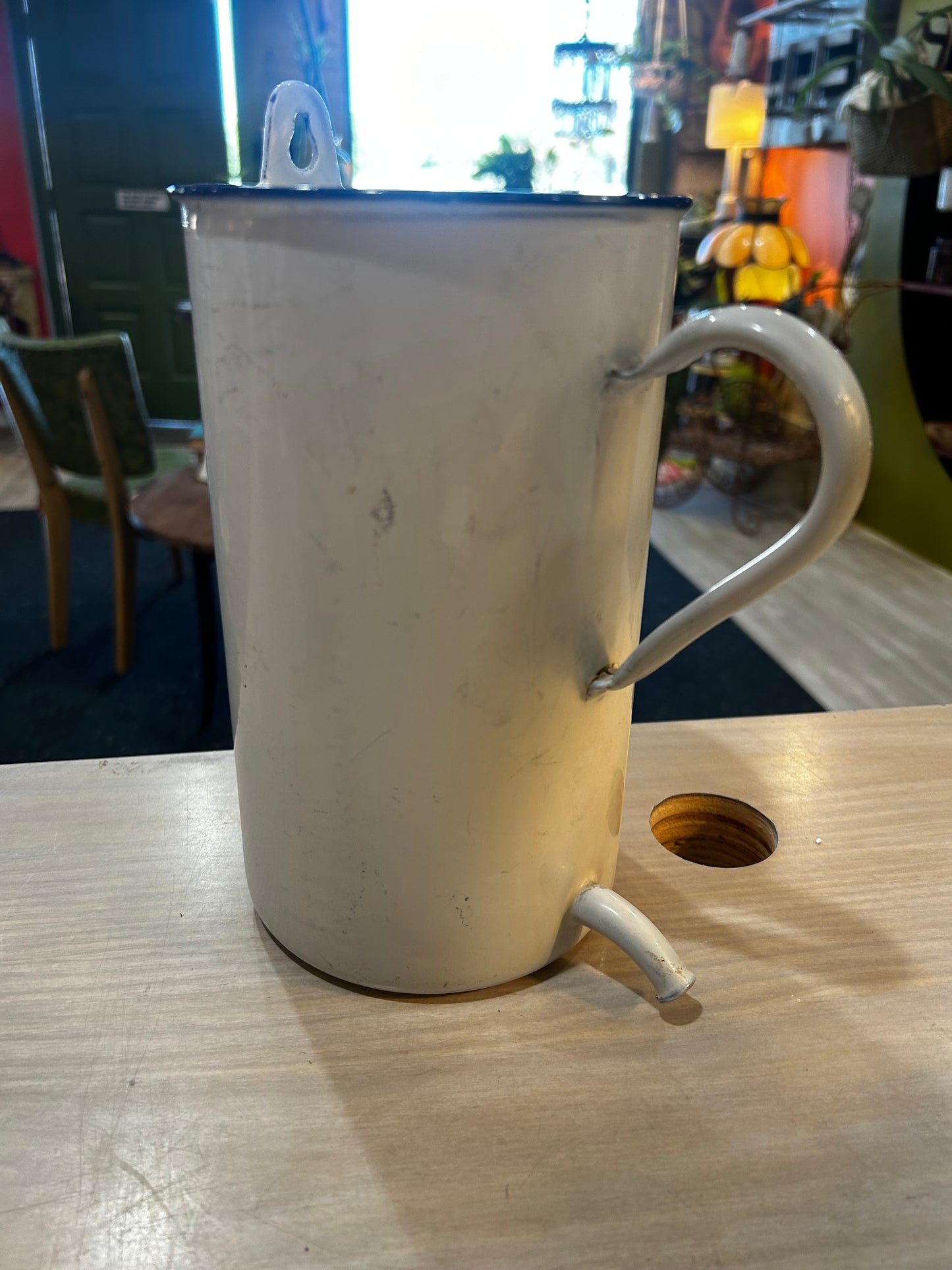 Green Hosta in Vintage French Enamelware Irrigator (Douche)