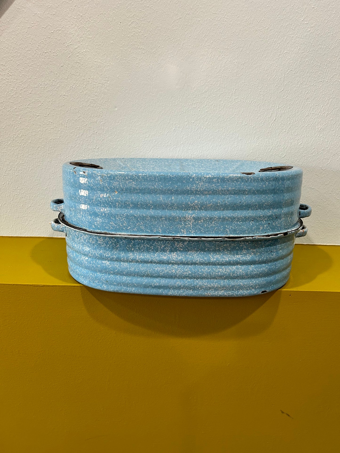 REED Robin’s Egg Blue Antique Roaster 1911