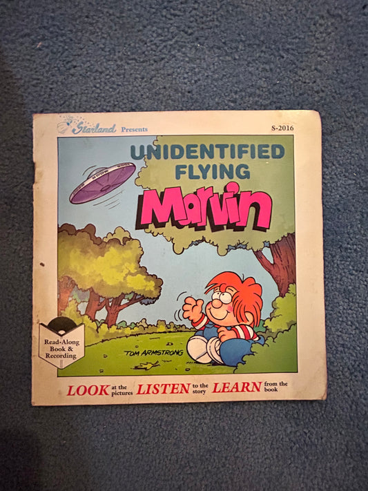 Set of 20 Vintage Look, Listen, Learn Book Records