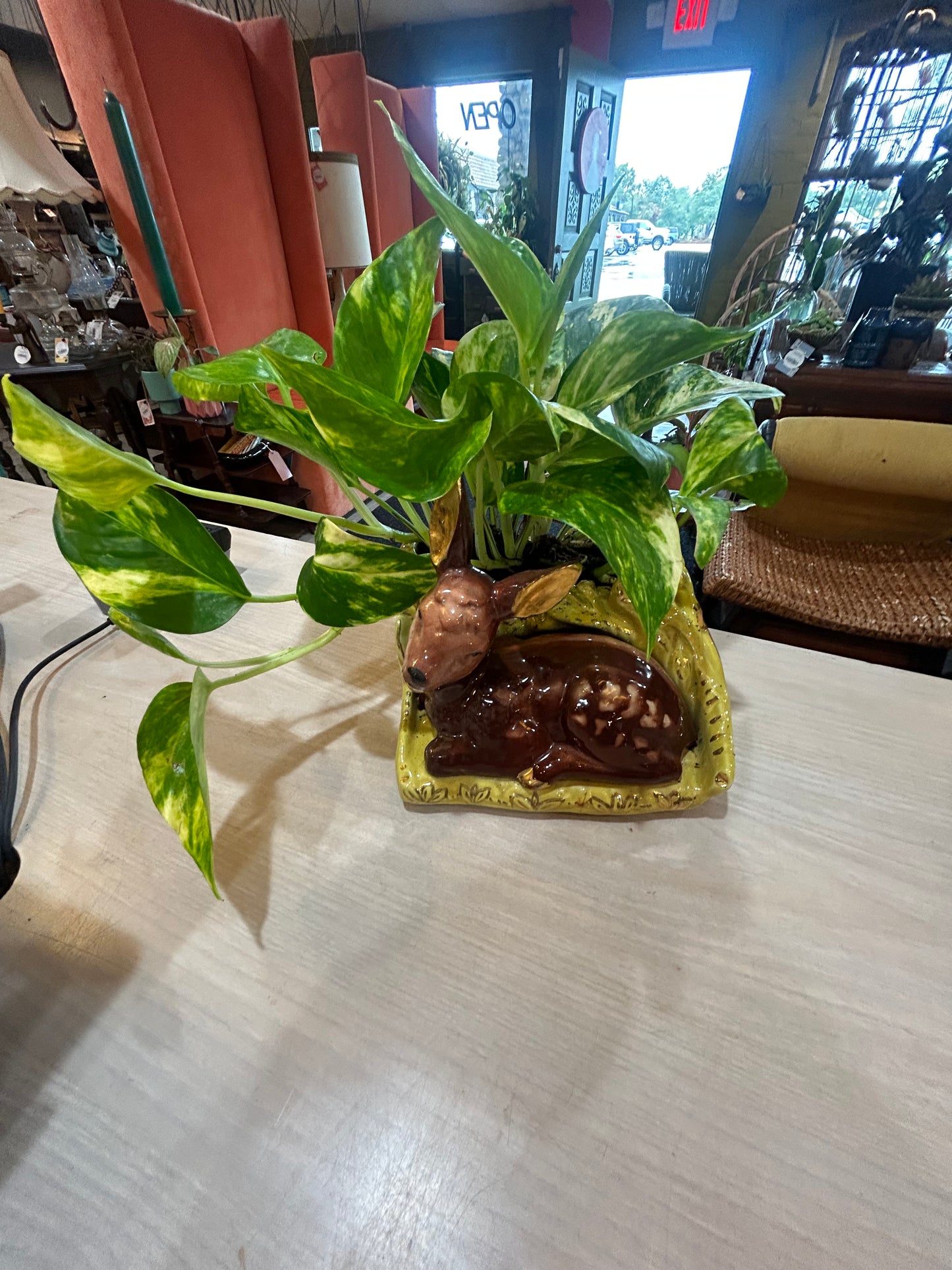 Pothos in Vintage Shawnee Deer Planter