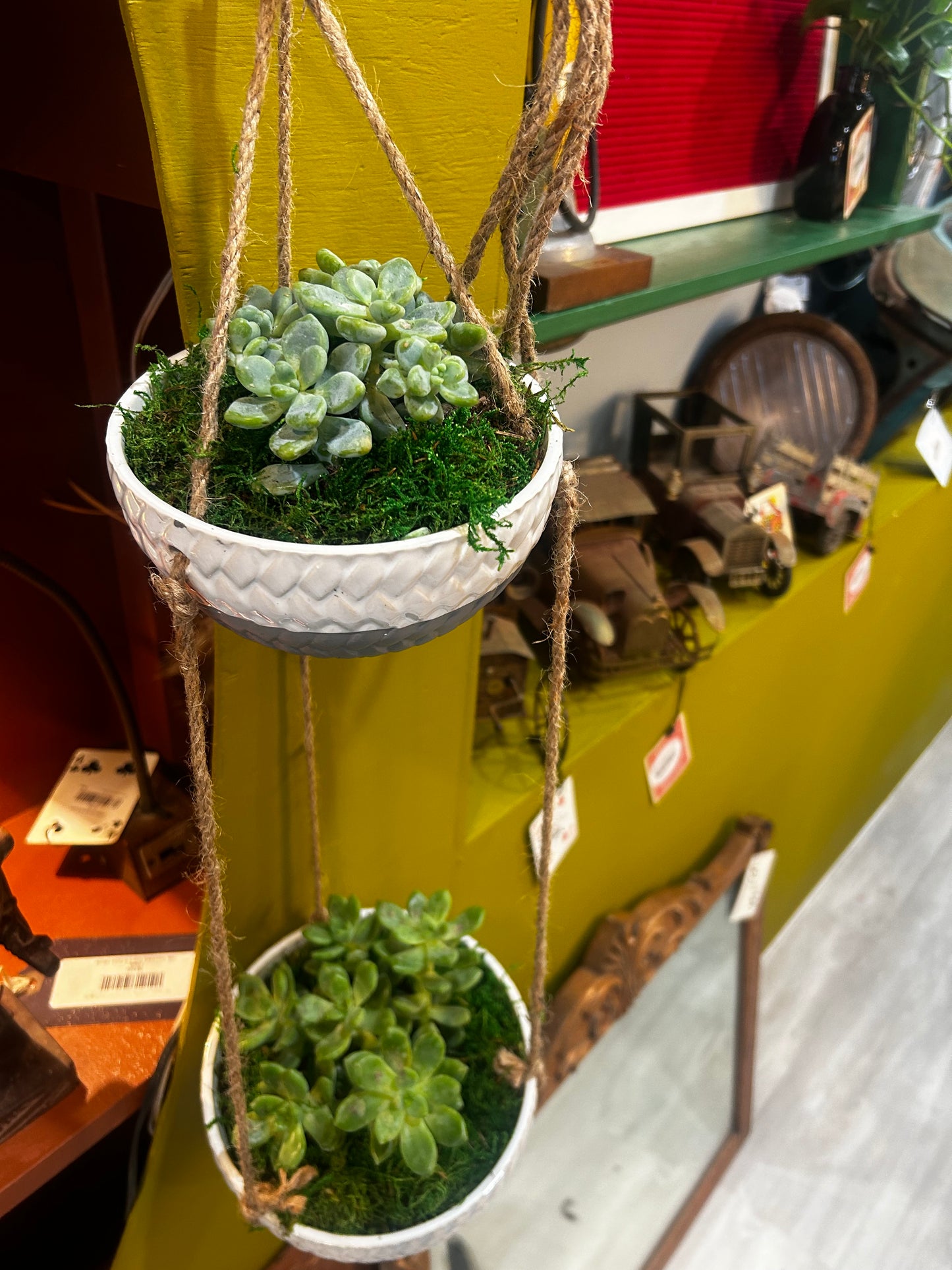 Hanging Succulent Planter- 2 Pot Hanger