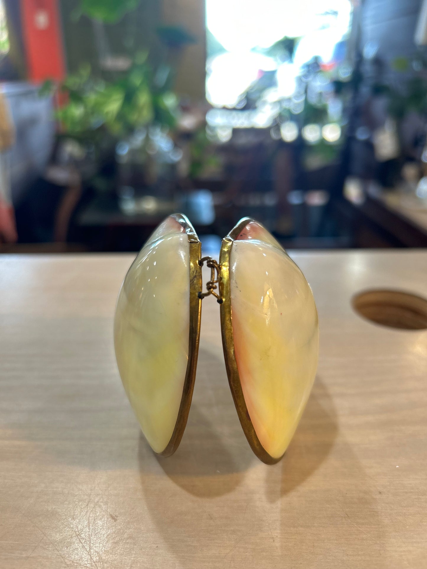 Vintage White Clam Shell- Brass Trim Trinket Box