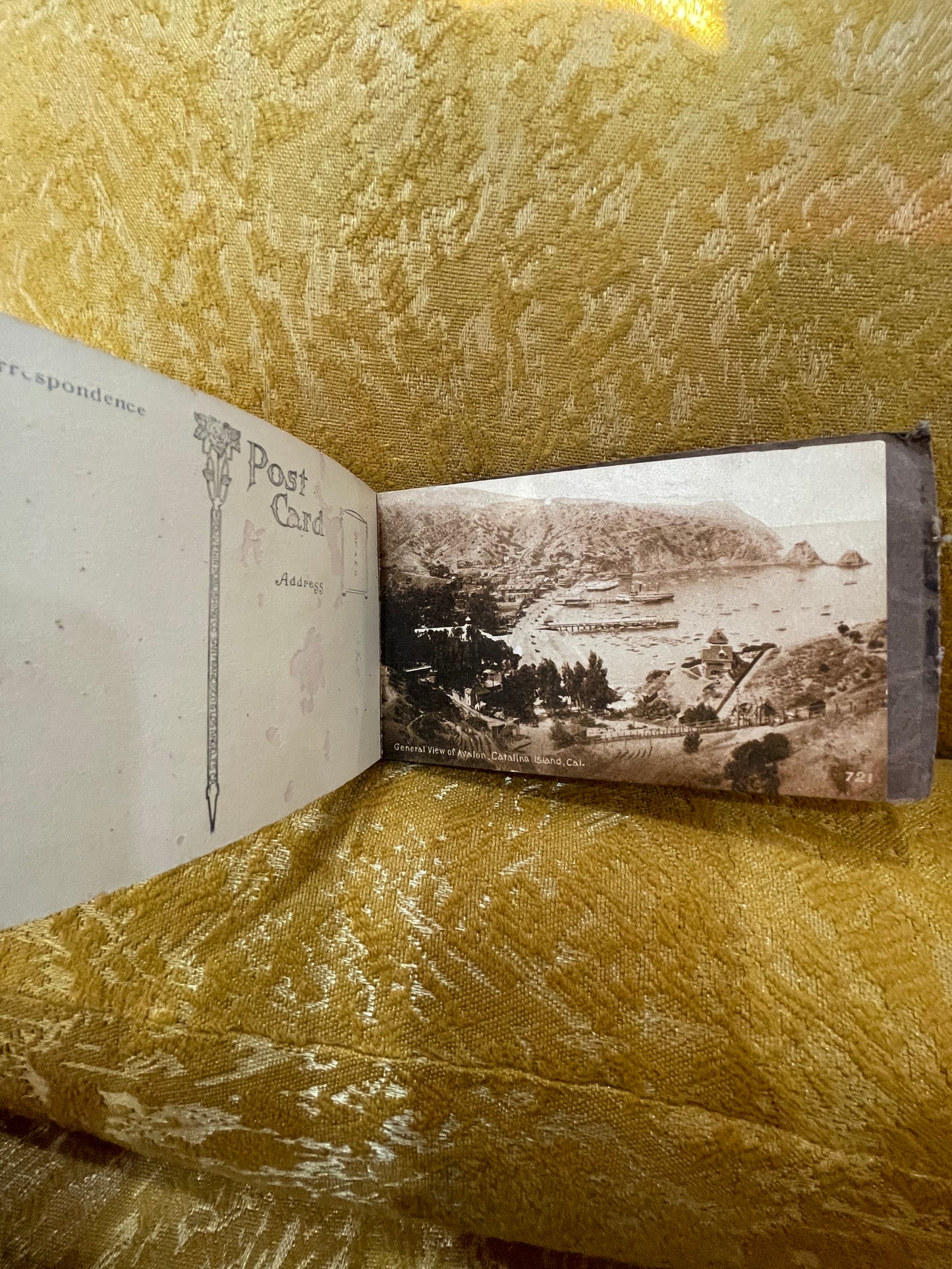 Album of Views of Las Angeles- Antique Postcard Book5
