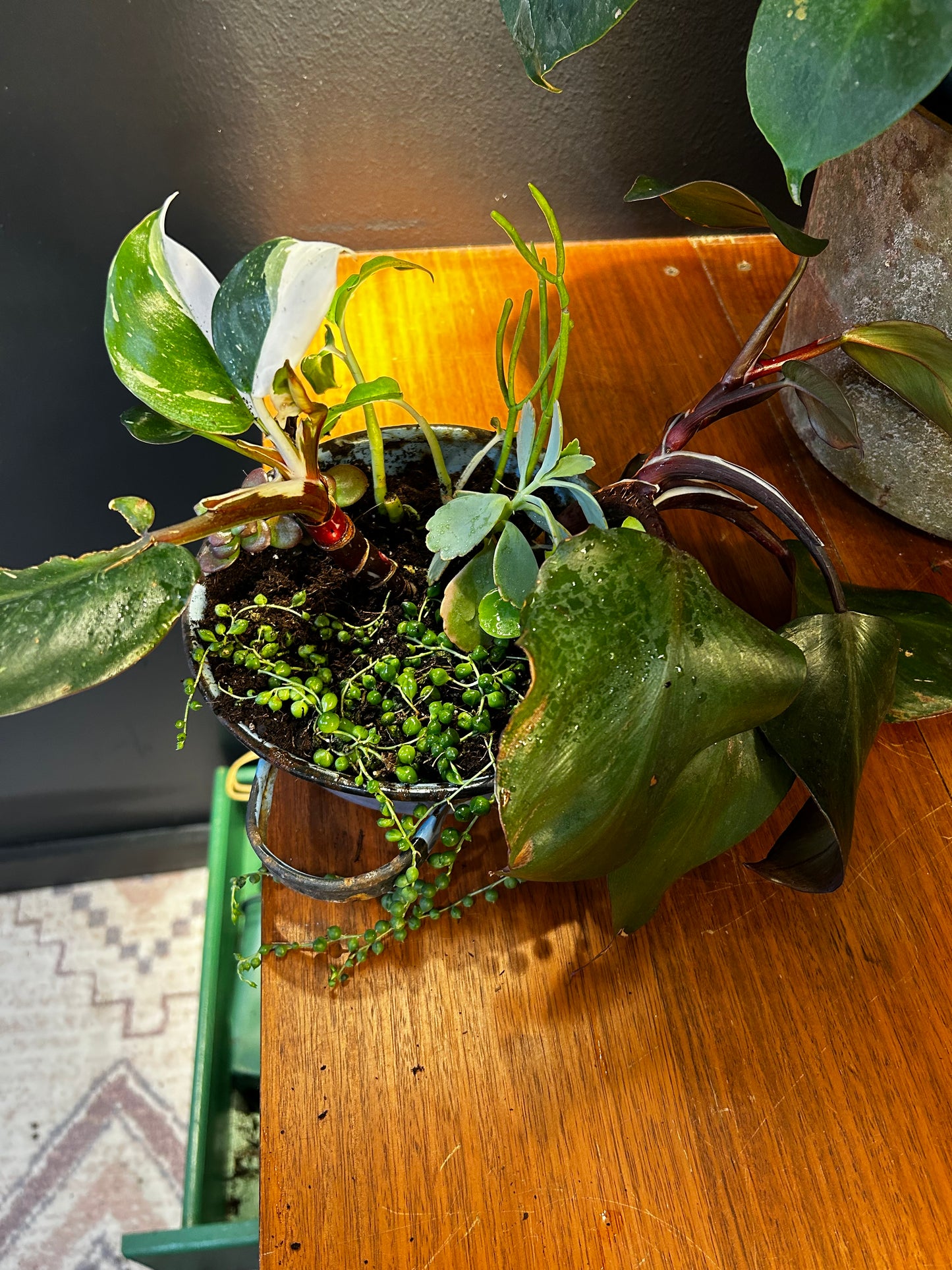 Kitchen Sink- White Knight/Strand of Pearls/Pencil/etc