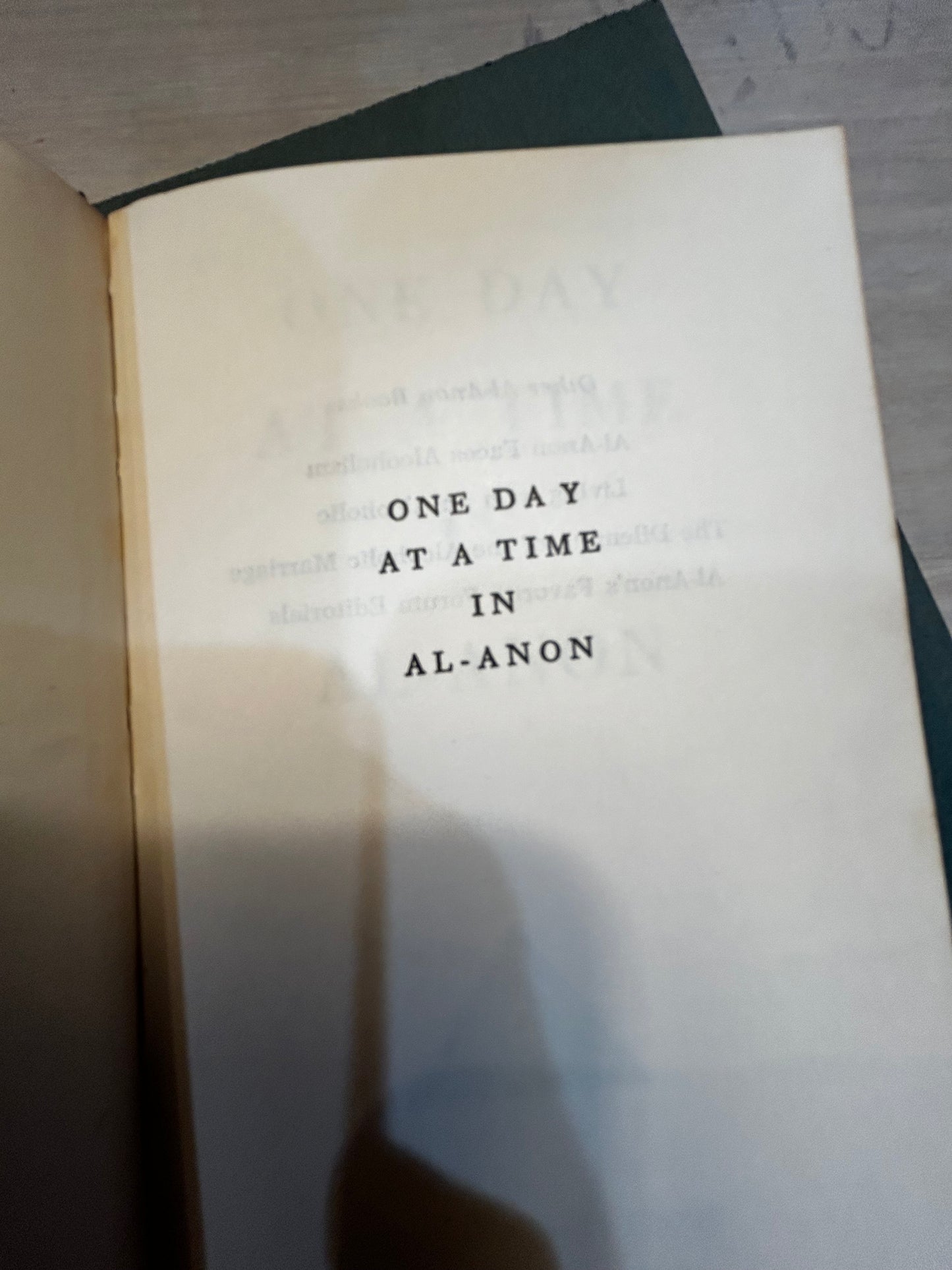 One Day at a Time in Al-Anon Book