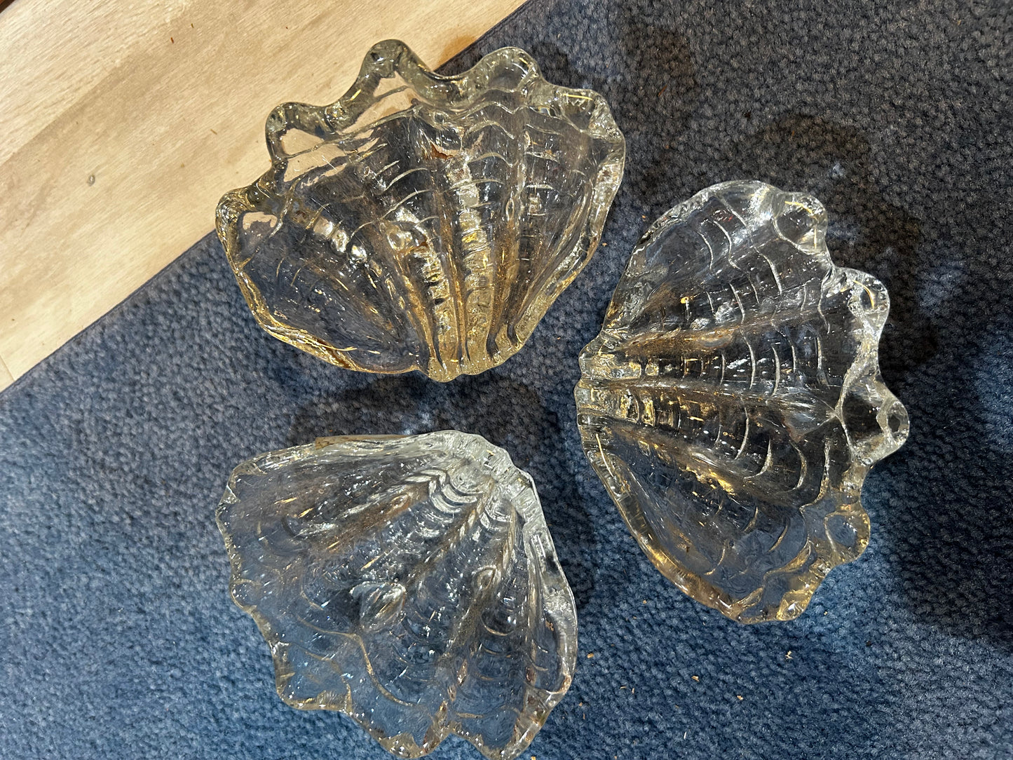 Set of 3 Glass Sea Shell Shaped Dishes- Footed
