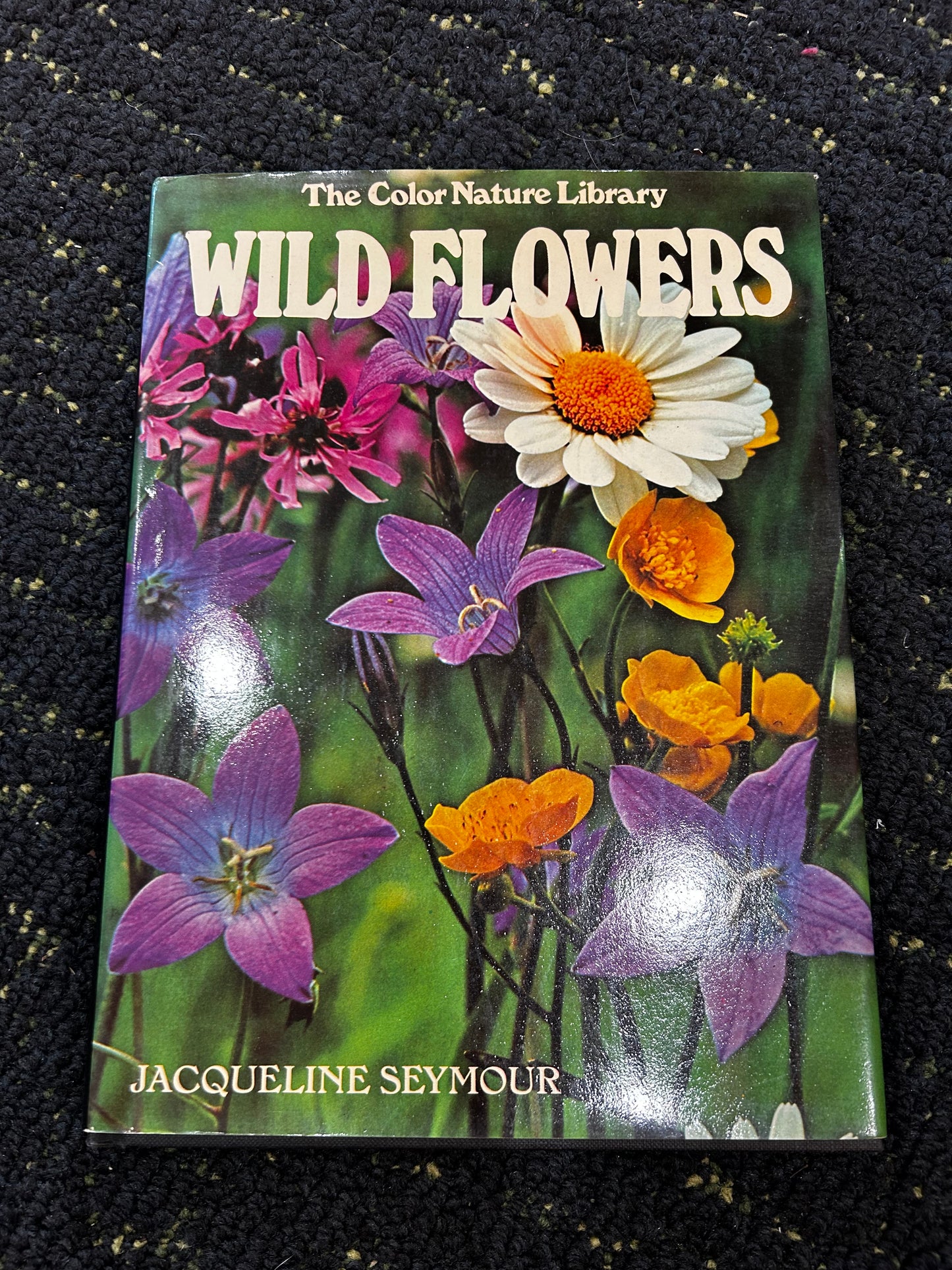 Wildflowers