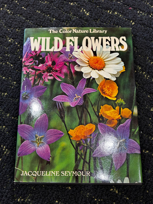 Wildflowers