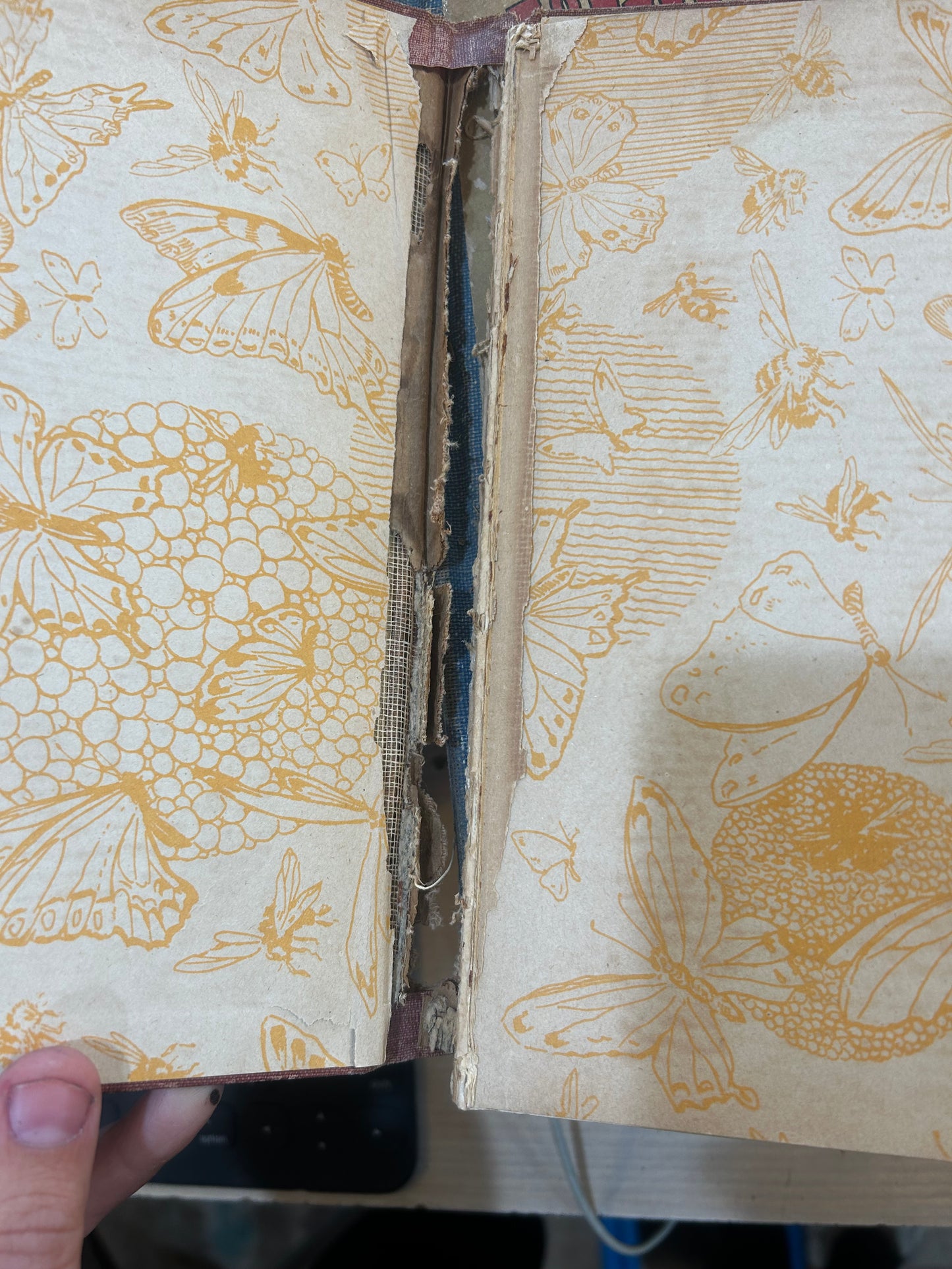 The Little Juggler- Rough Condition :(