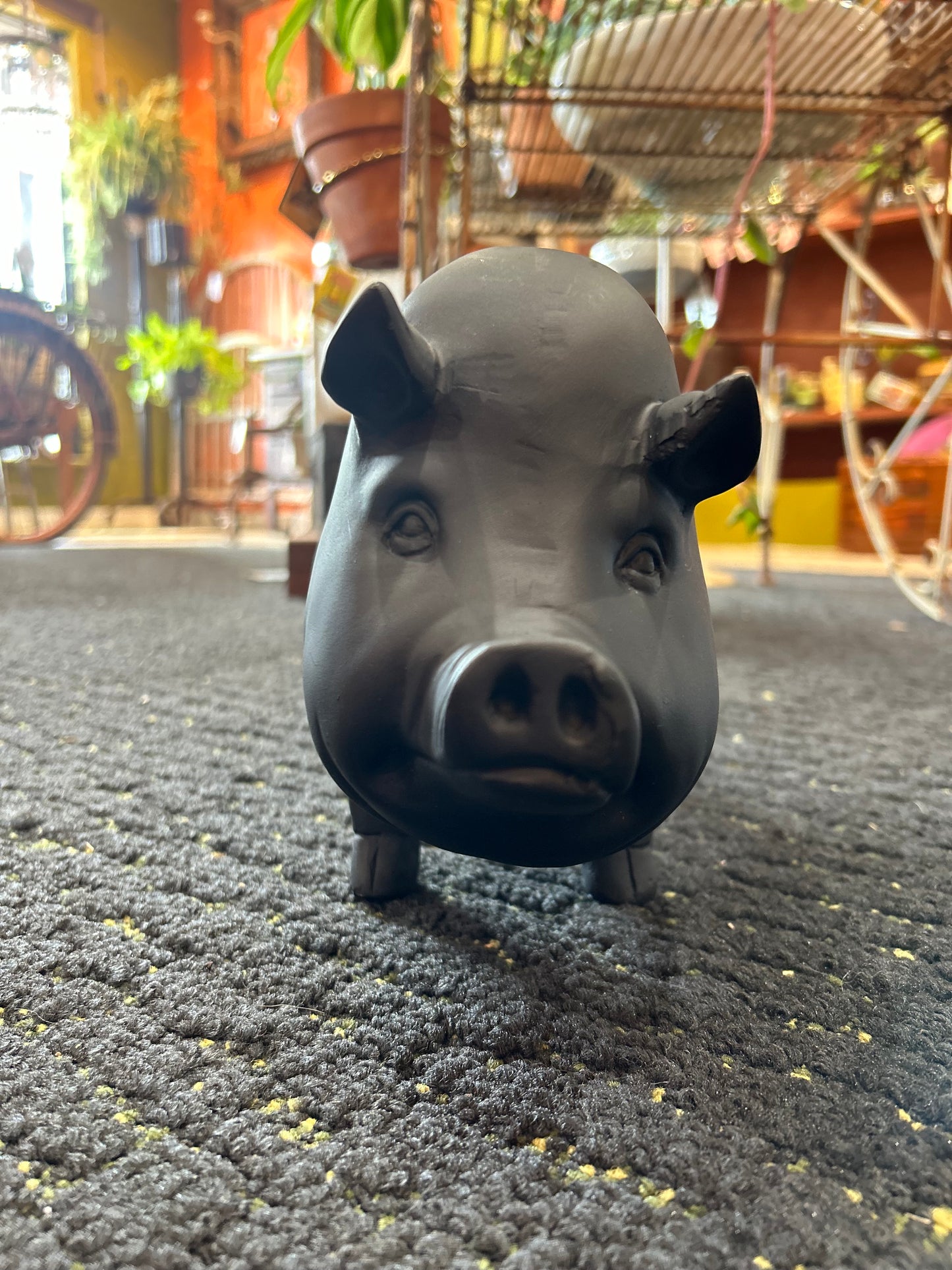 Potbelly Piggy