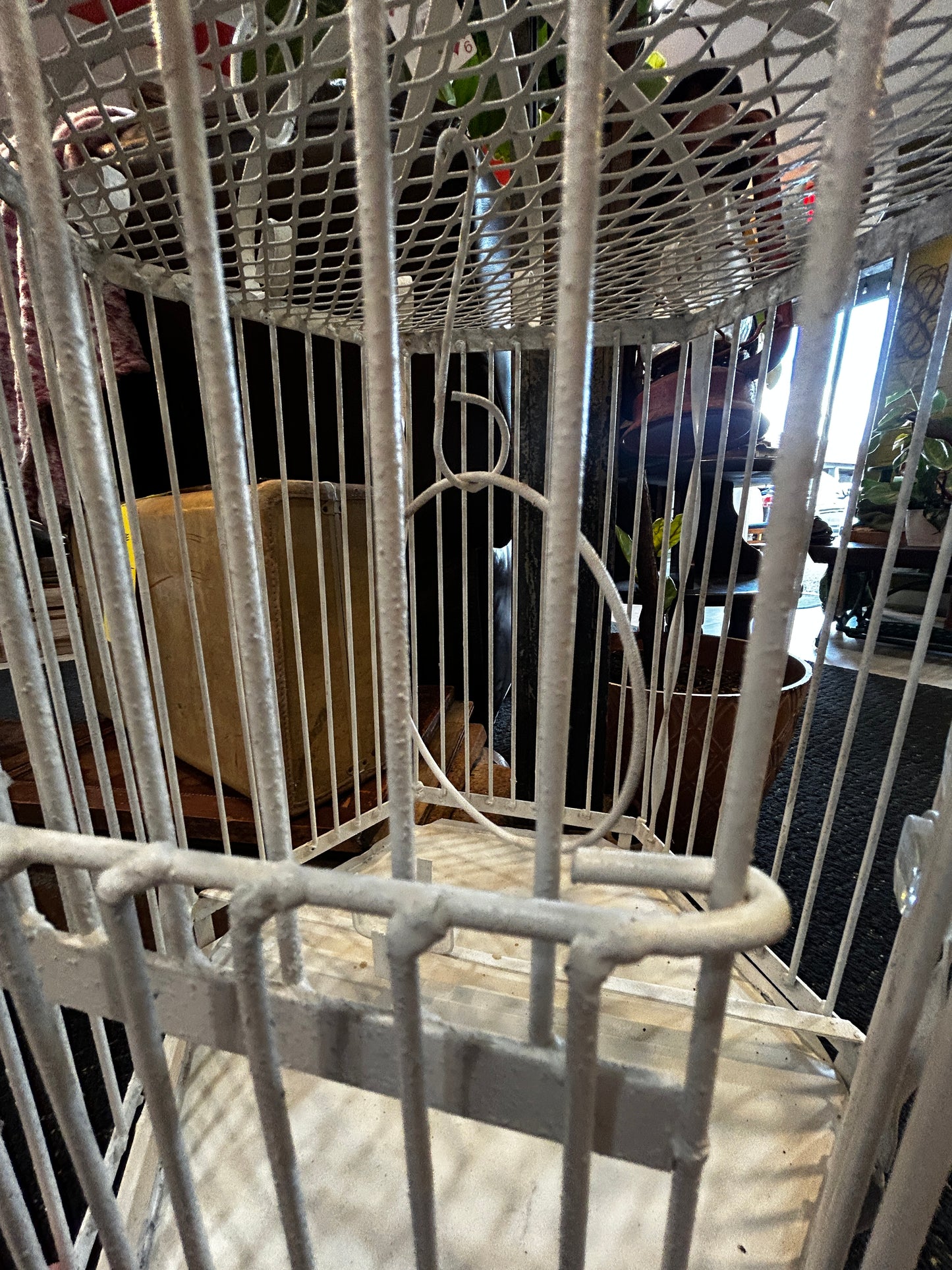White Wrought Iron Birdcage
