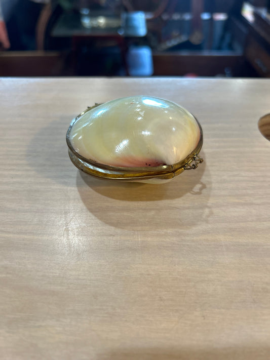 Vintage White Clam Shell- Brass Trim Trinket Box
