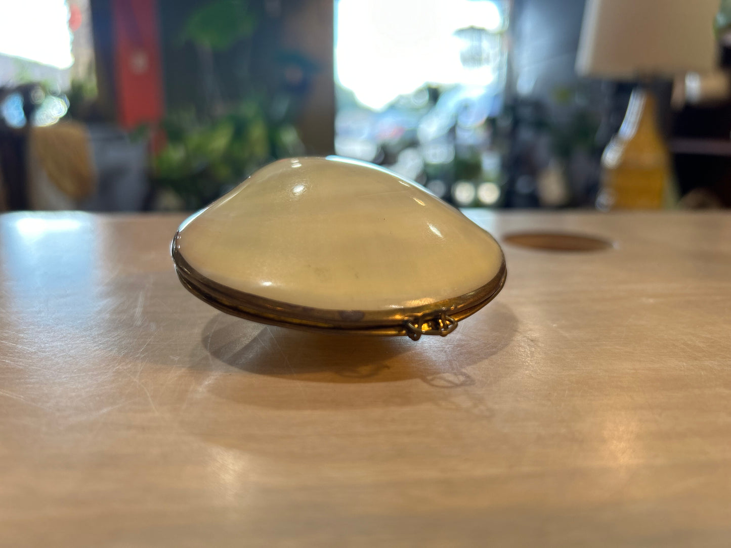 Vintage White Clam Shell- Brass Trim Trinket Box