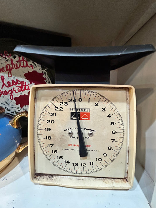 Vintage Hanson Utility Scale- 25 lbs