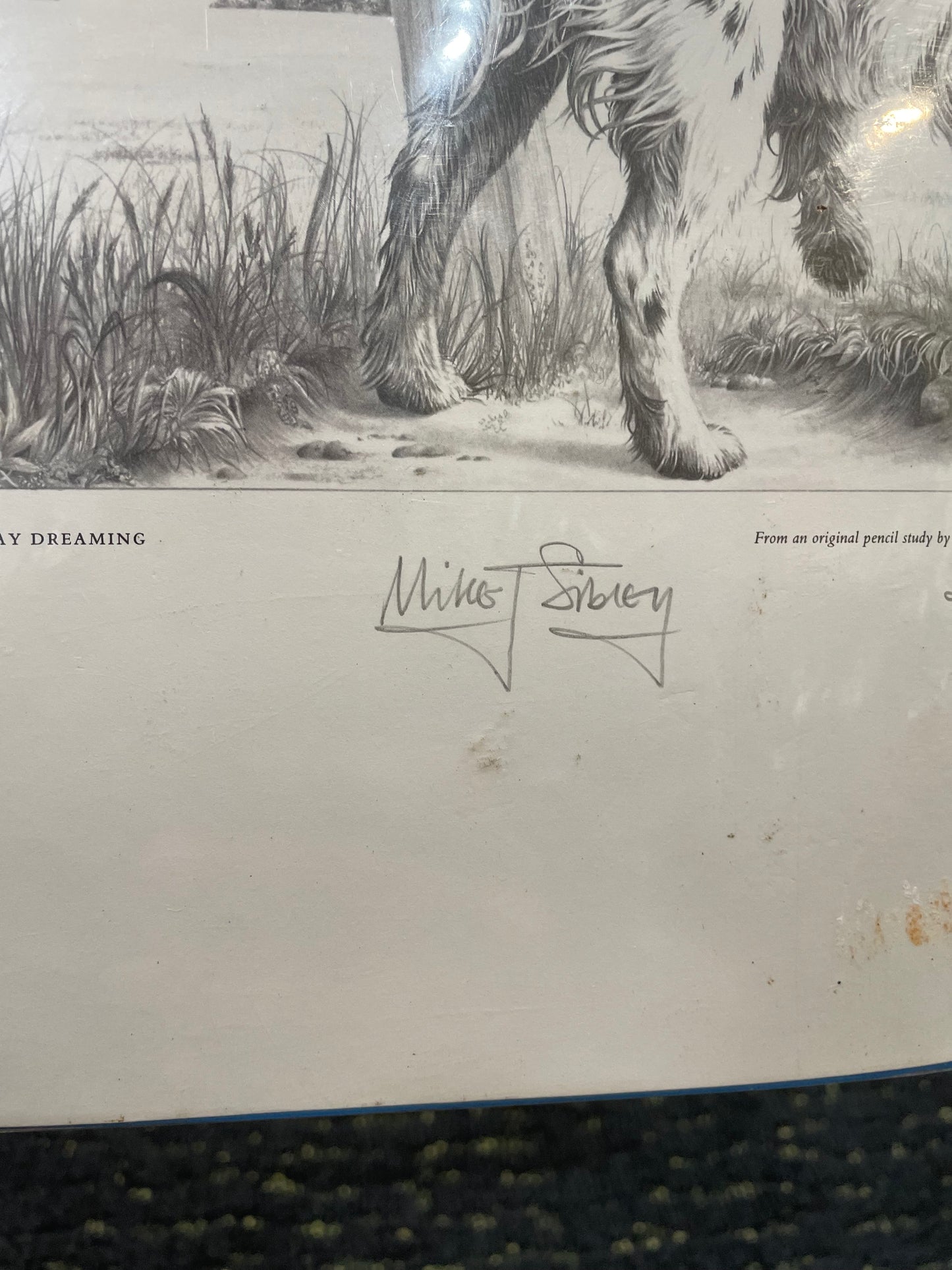 English Springer Spaniel Drawing by Mike Sibley- Signed Cert. of Auth.