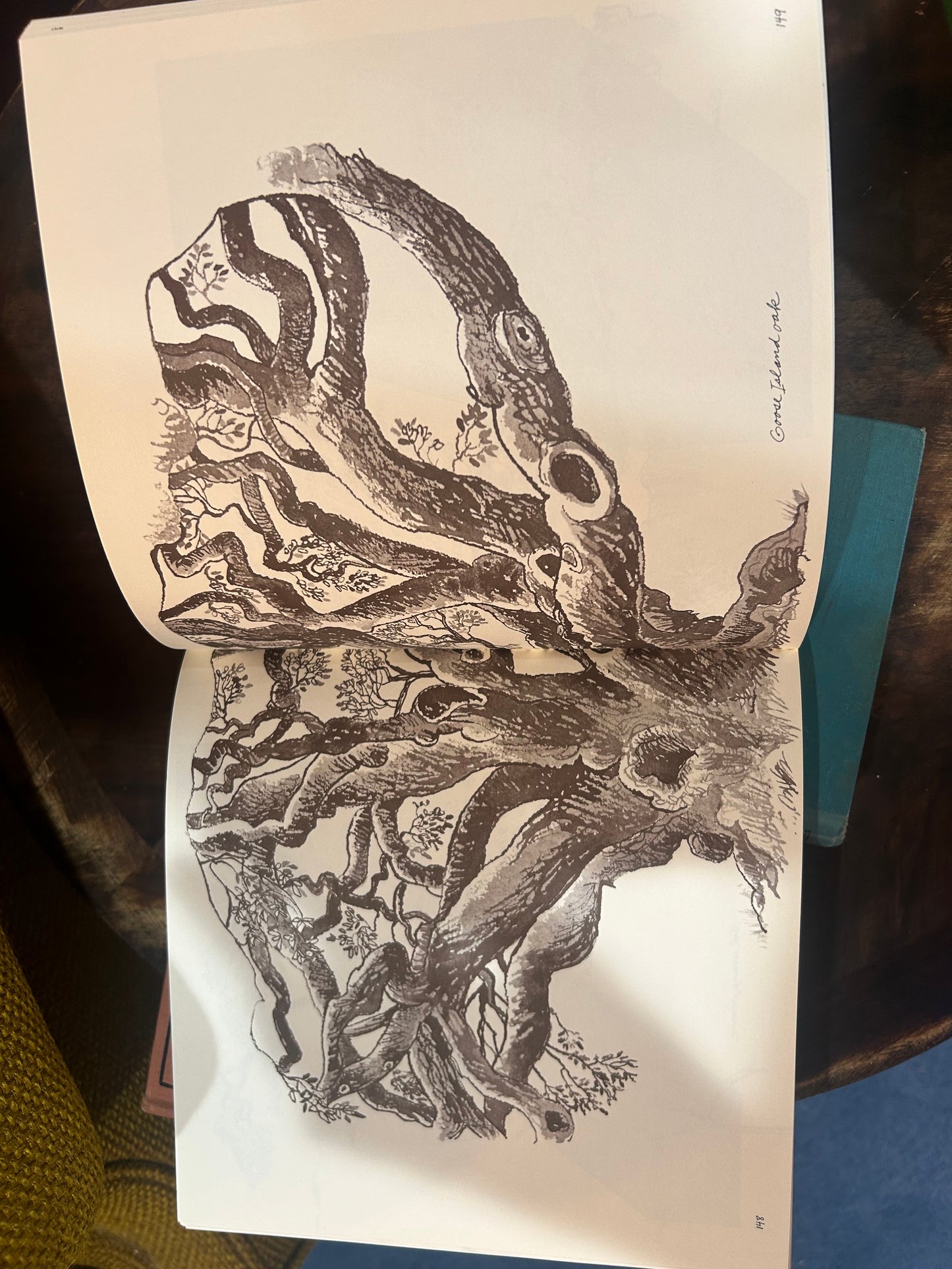 Back Roads of Texas Book