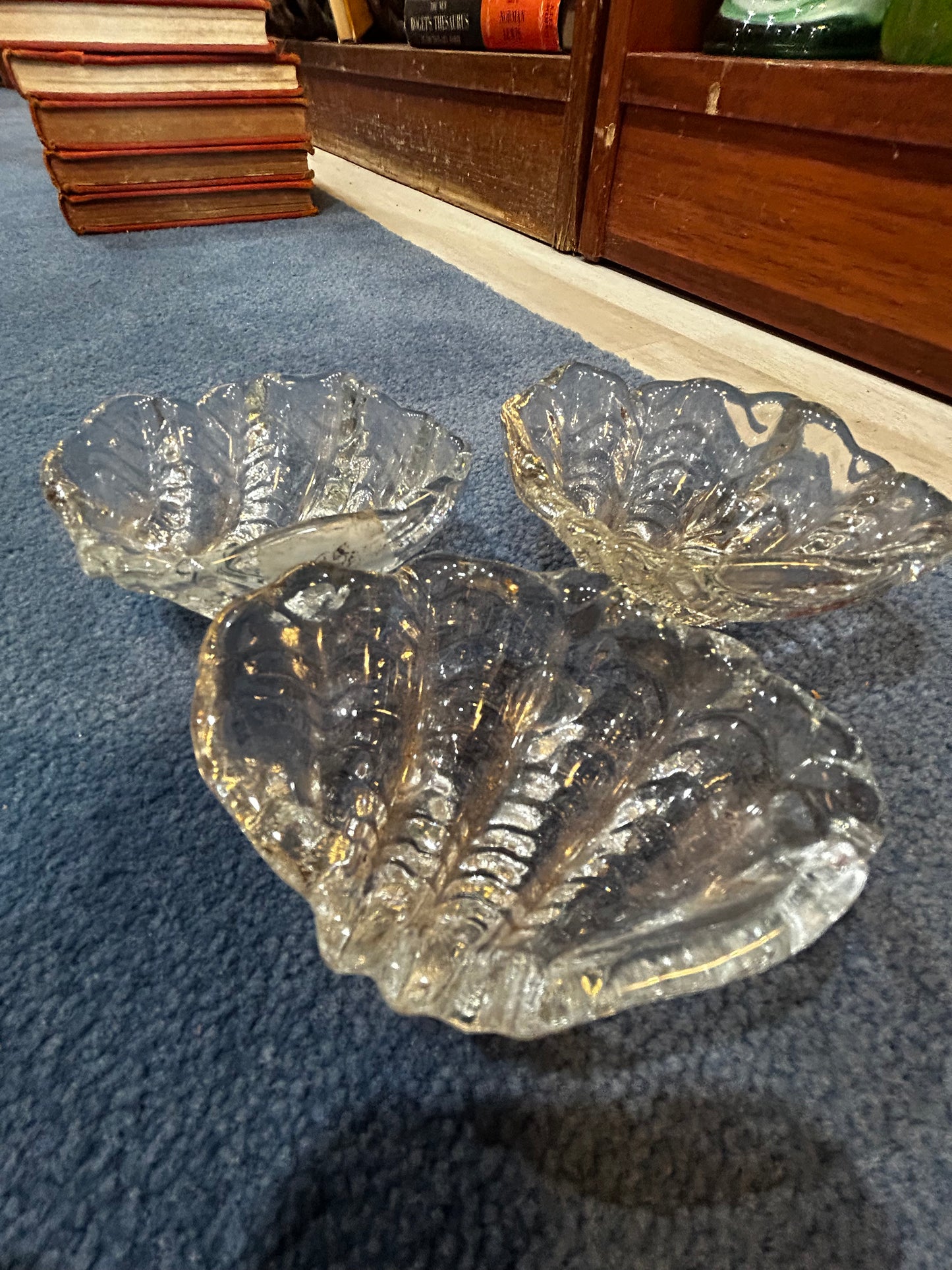 Set of 3 Glass Sea Shell Shaped Dishes- Footed