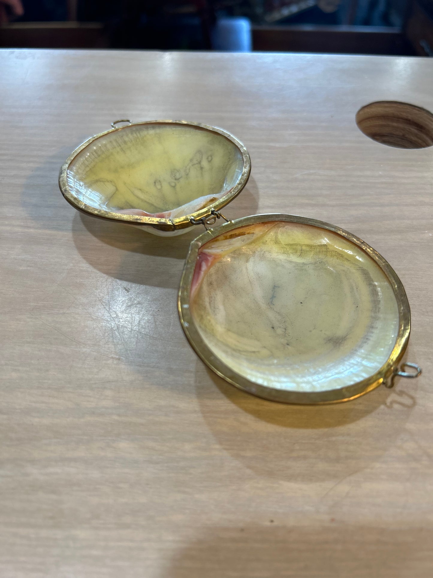 Vintage White Clam Shell- Brass Trim Trinket Box