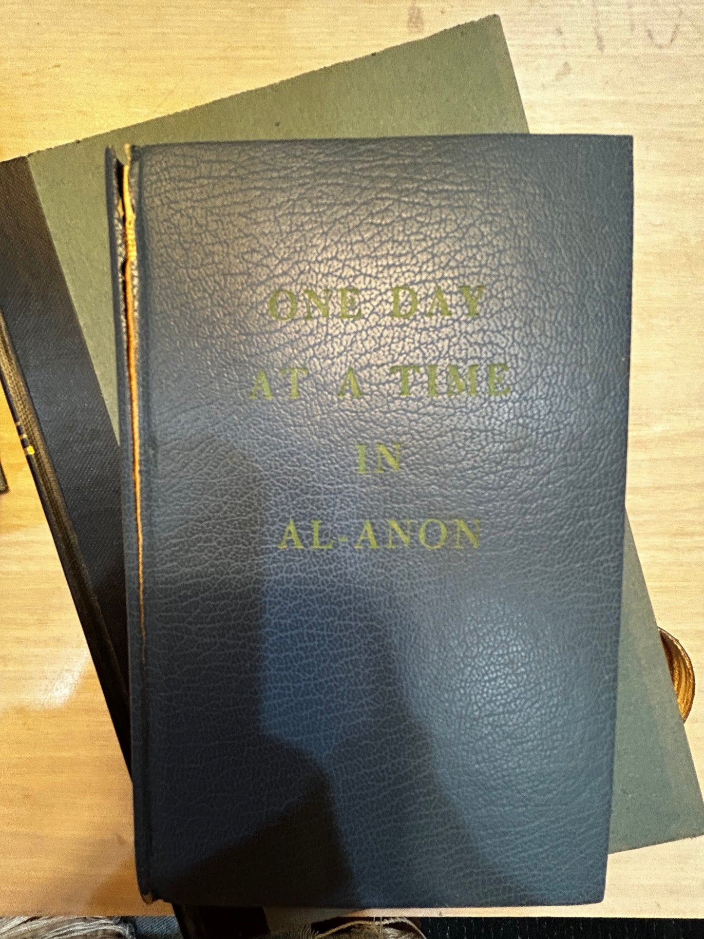 One Day at a Time in Al-Anon Book