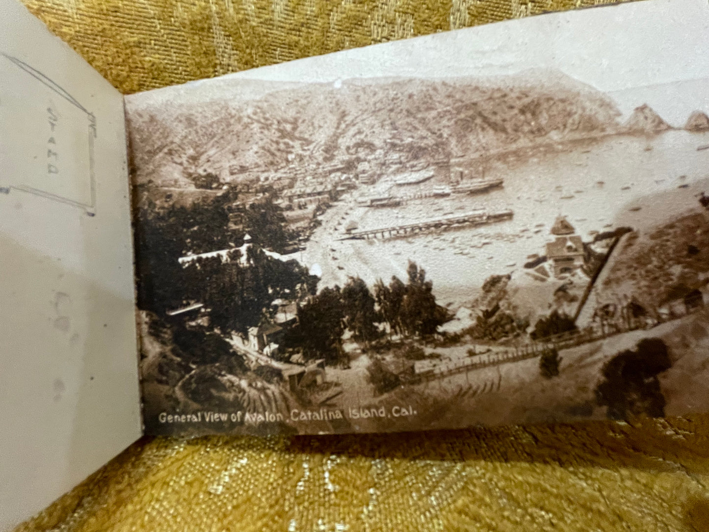 Album of Views of Las Angeles- Antique Postcard Book5