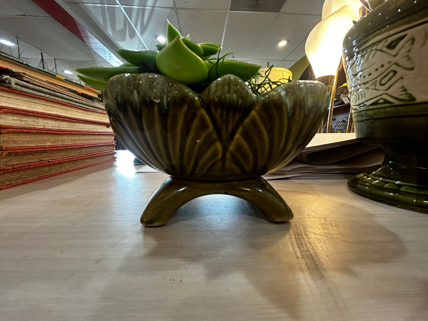 Succulent in MCM Bridged Planter- Rock-Lined-Ice Cube Watering Technique