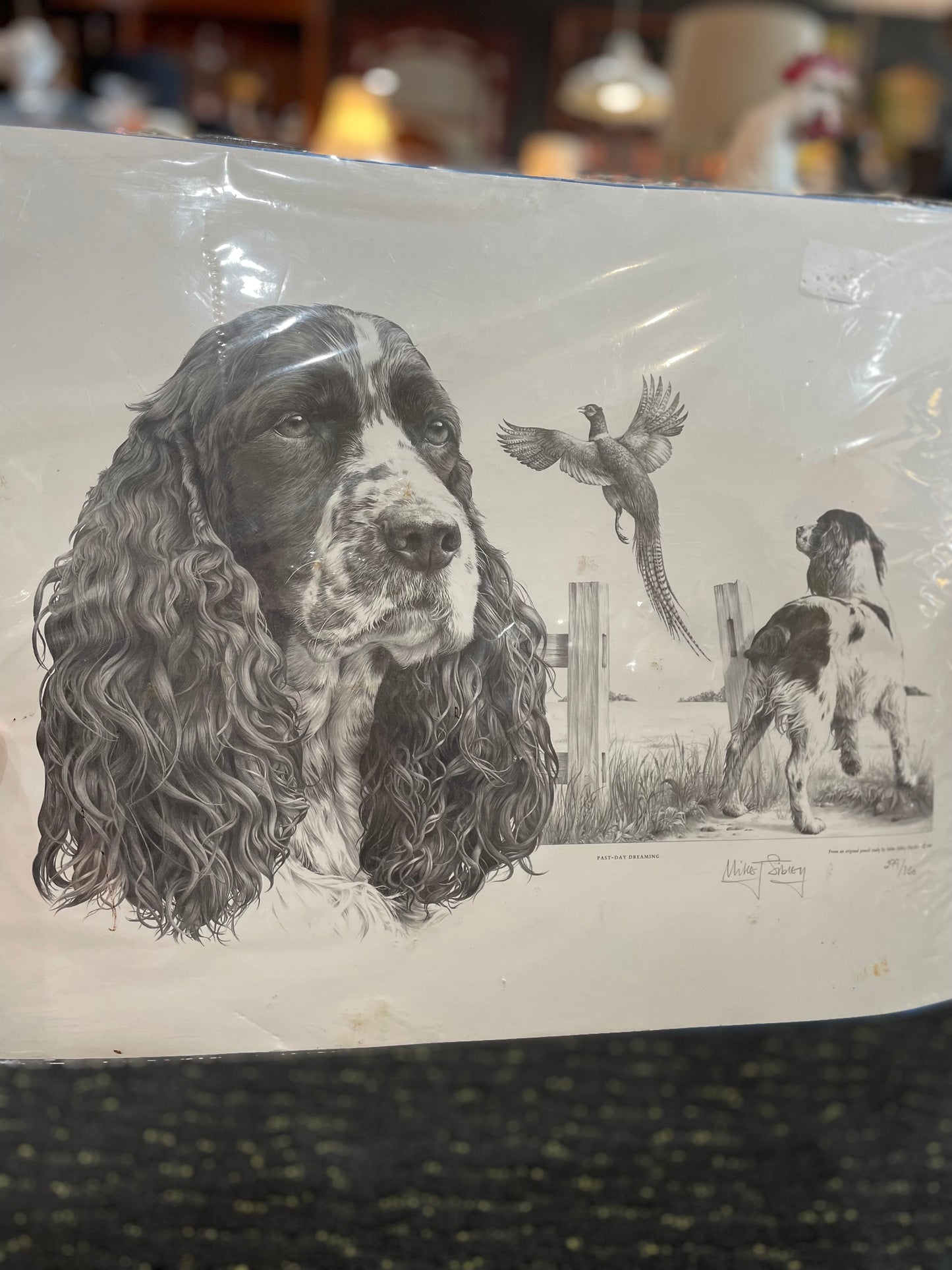 English Springer Spaniel Drawing by Mike Sibley- Signed Cert. of Auth.