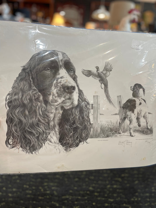 English Springer Spaniel Drawing by Mike Sibley- Signed Cert. of Auth.