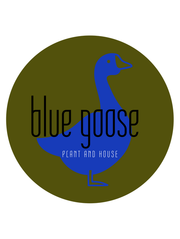 Blue Goose - Plant and House