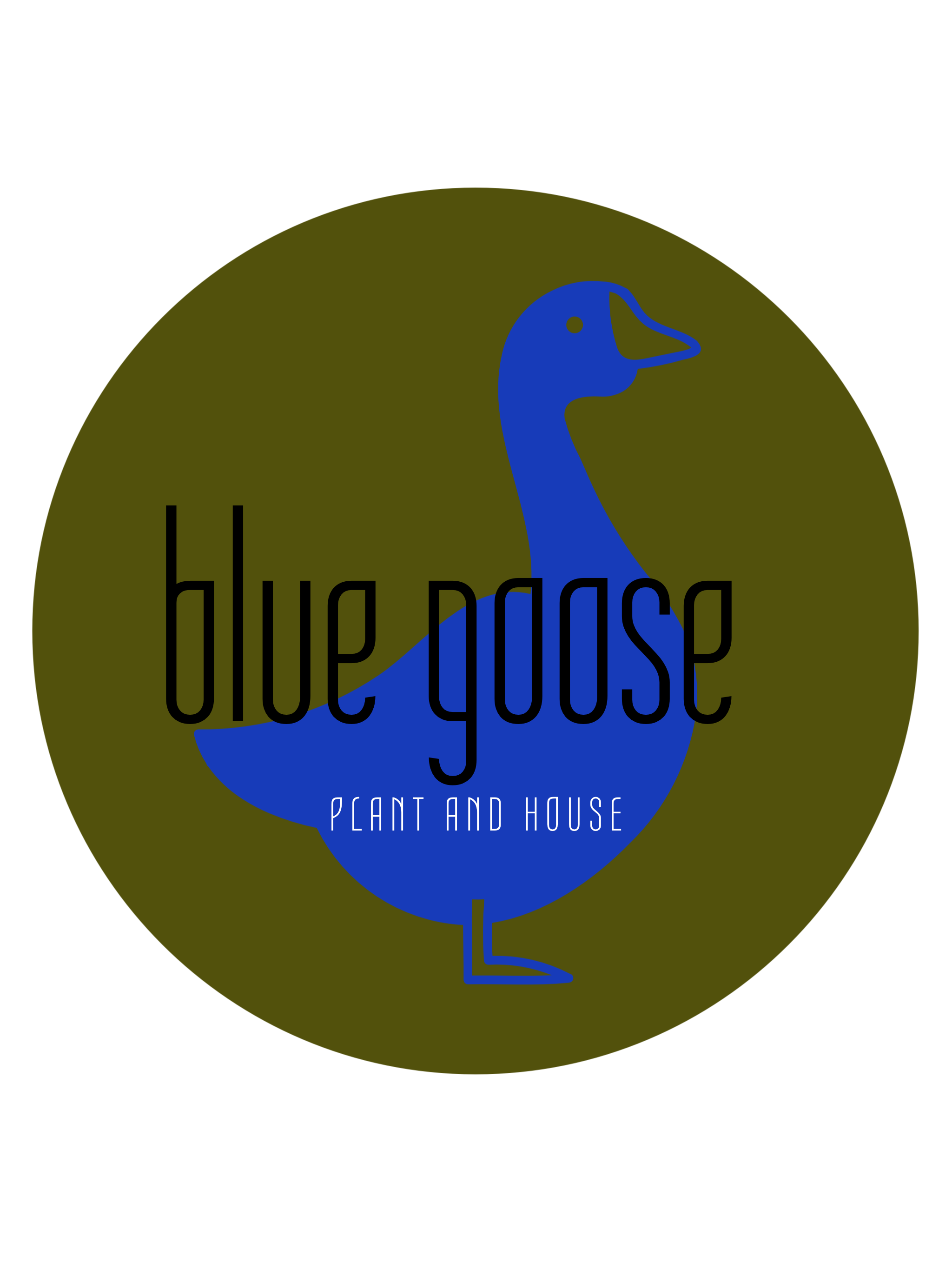 Blue Goose Plant and House Friendswood Texas – Blue Goose - Plant and House